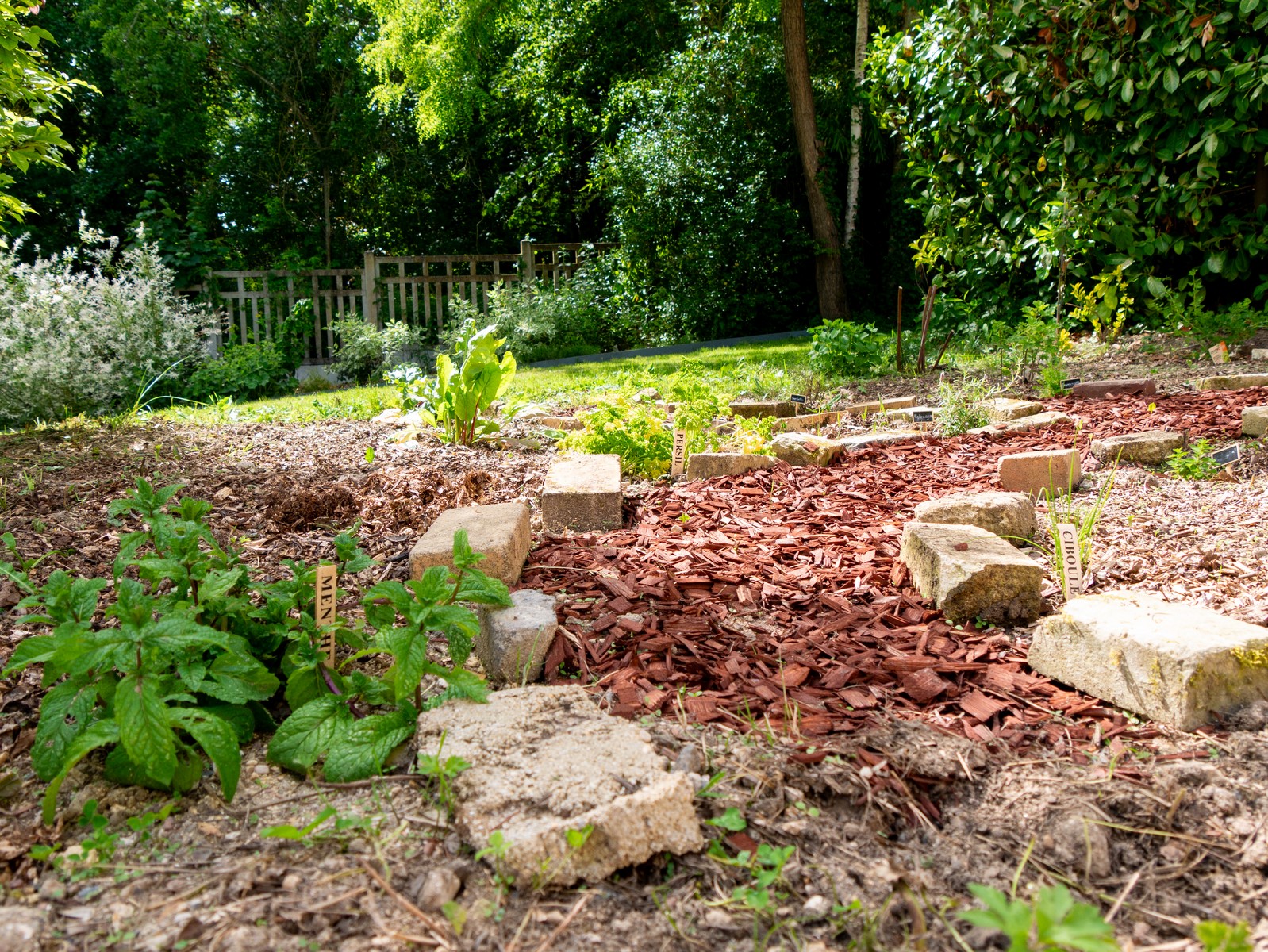 Potager